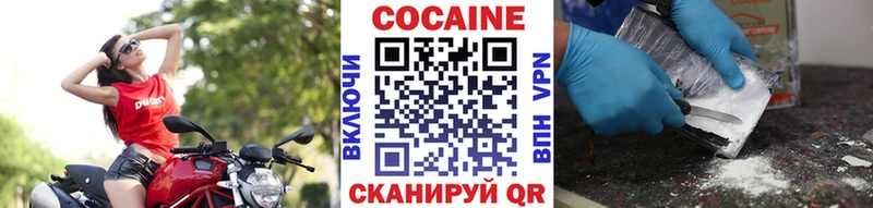 дарнет шоп  Аша  COCAIN Fish Scale 