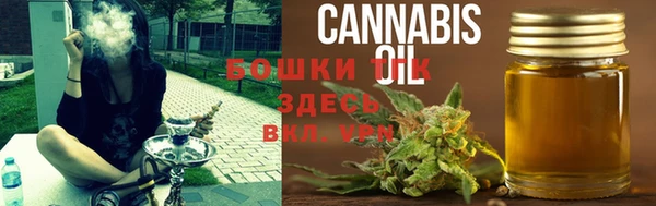 PSILOCYBIN Арсеньев