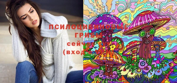 PSILOCYBIN Арсеньев