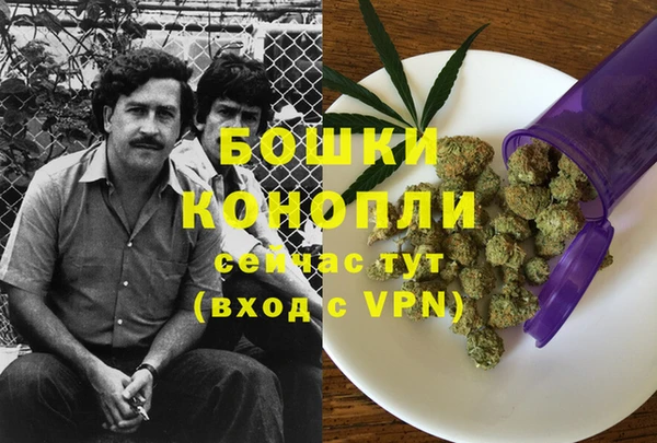 PSILOCYBIN Арсеньев