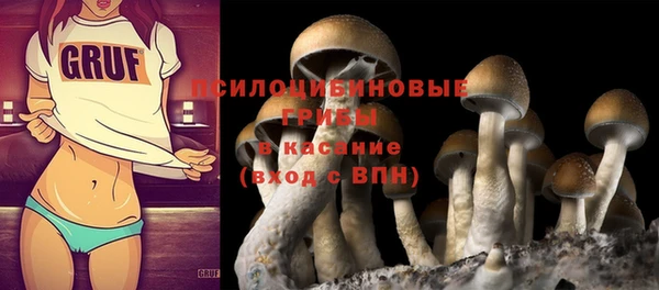 а пвп мука Армянск