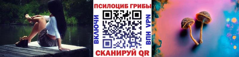нарко площадка Telegram  Аша  Галлюциногенные грибы Psilocybe  что такое наркотик 